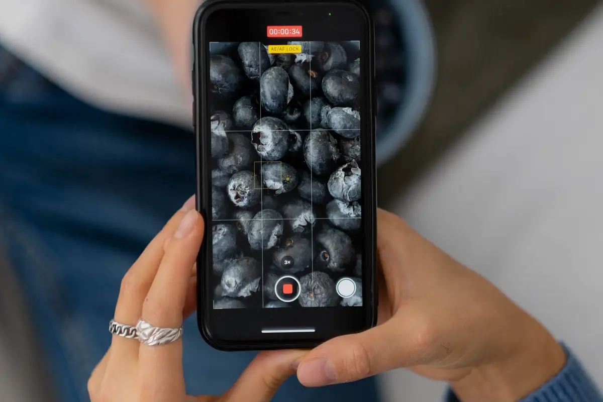 Telefoon filmt van dichtbij een schaal net geplukte blauwe bessen