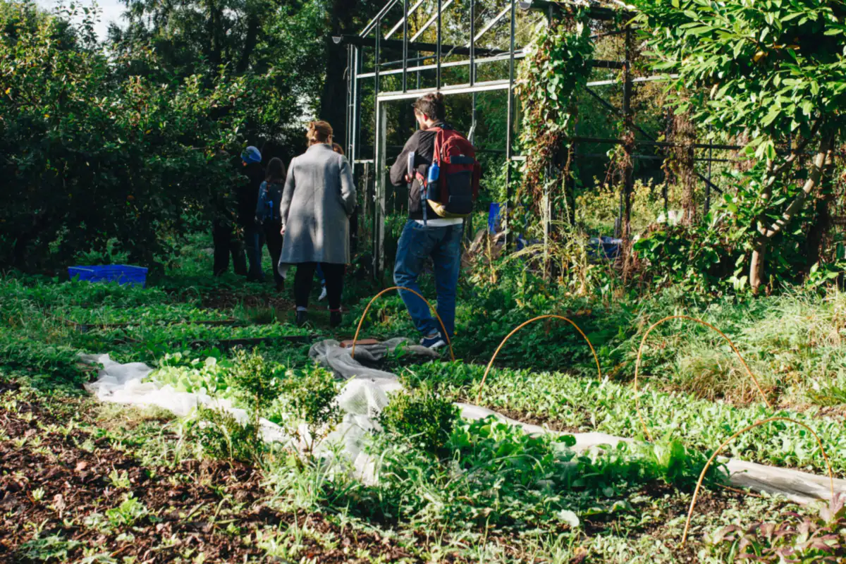 Groepje bezoekers loopt over een pad door een dicht begroeide tuin met fruitbomen
